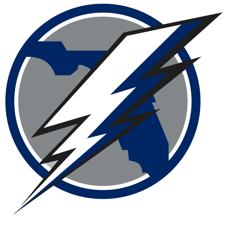 Tampa Bay Lightning 2008 Unused Logo fabric transfer